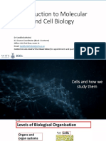 Introduction To Cells and How We Study Them