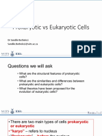 Prokaryotic Vs Eukaryotic Cells