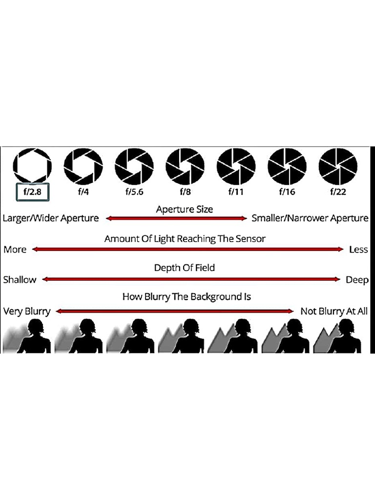 Camera Basics | PDF