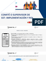 Comité o Supervisor de SST - Implementación y Rol - RV