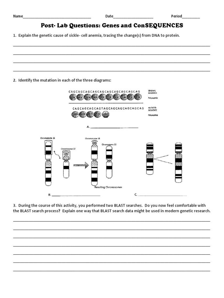 Post Lab For Genes & Consequences PDF National Center For
