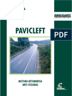 07 Pavicleft
