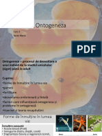 Curs 3 - Ontogenia