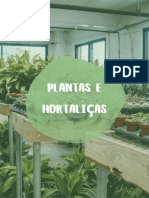 Cultivo de plantas e hortaliças nas escolas e empresas