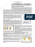 6 - 8EDUCACIÓN FÍSICA, RECREACIÓN Y DEPORTES Baloncesto