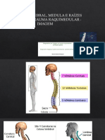 Avaliação Por Imagem Coluna Vertebral e Trauma Raquimedular