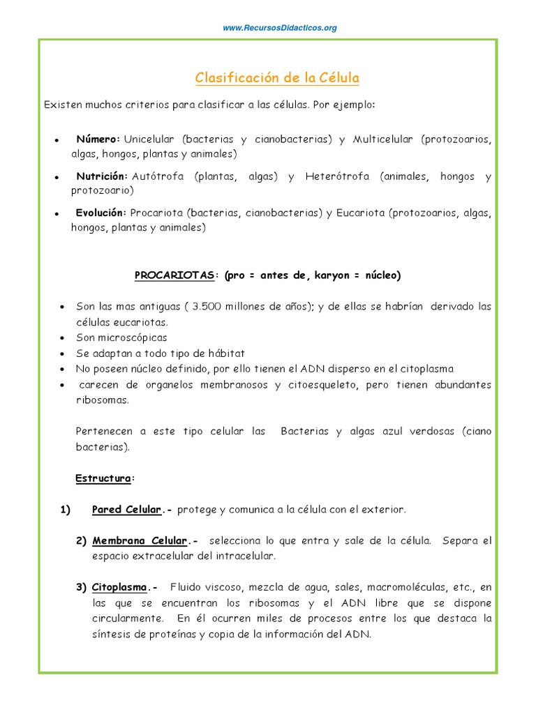 Estructura y funciones de la célula procariota | PDF | Ciencia y ...