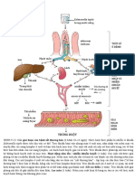 Page 399-400 Tiêu Hóa