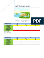 Capitulum Primum Schema