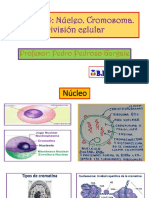 BIOLOGÍA - Semana 4