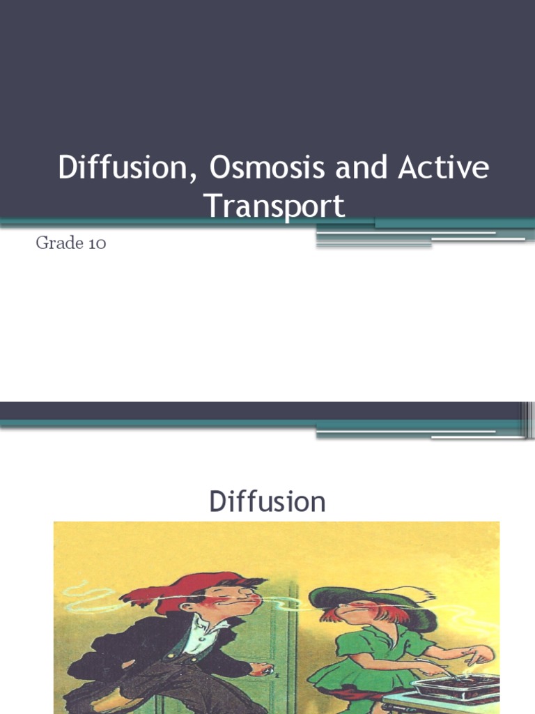 Diffusion, Osmosis, and Active Transport Guide | PDF | Osmosis | Diffusion