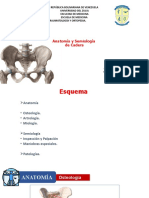 Anatomía y Semiología CADERAS