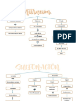 Mapa Conceptual de Las Principales Reacciones Del Benceno