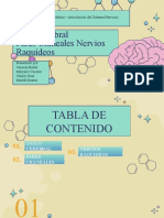 Tallo Cerebral, Pares Craneales y Nervios Raquideos