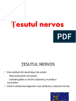 Neuronul