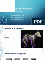 Anatomo Animal - Aula 3