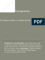 Ginogeneza