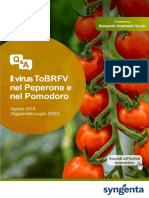 Manuale Tobrfv