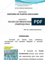 Tecido de Preenchimento PDF
