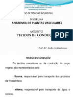 Tecidos de Condu+º+úo PDF