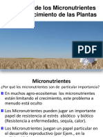 11.- Micronutrientes