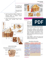 Human Histology Lecture #5 - Bone Cells, Tissue Organization