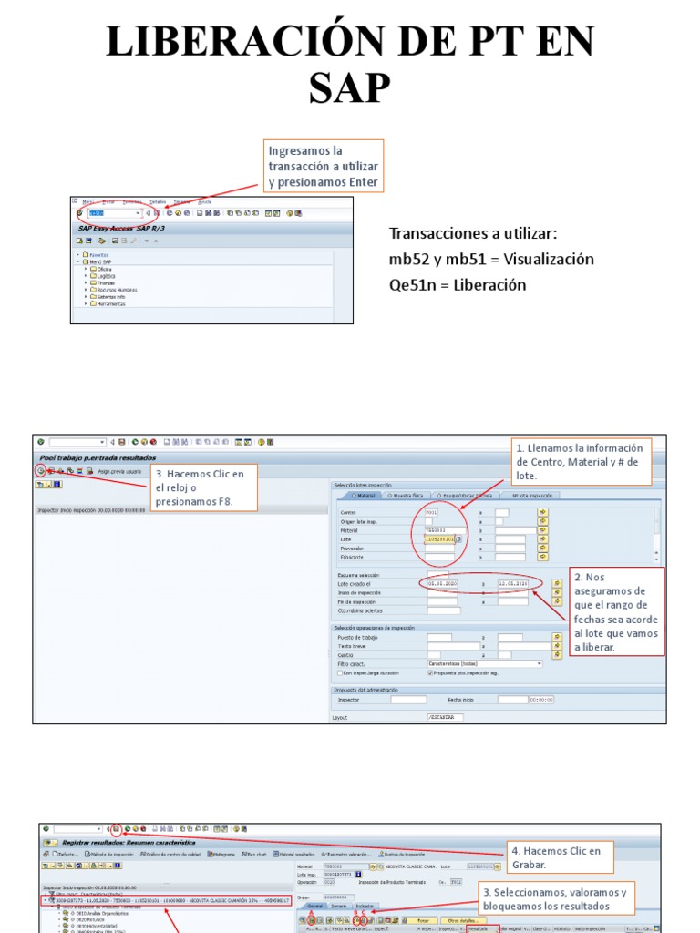 Liberación de PT en SAP | PDF