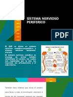 Sistema Nervioso Periferico