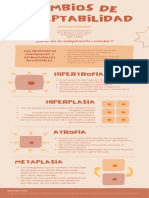 Tarea 1 - Cambios de Adaptabilidad - FRC