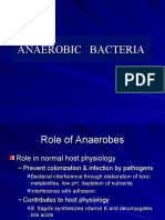 Anaerobic Bacteria Intro