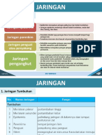 Bab 6 Organisasi Kehidupan