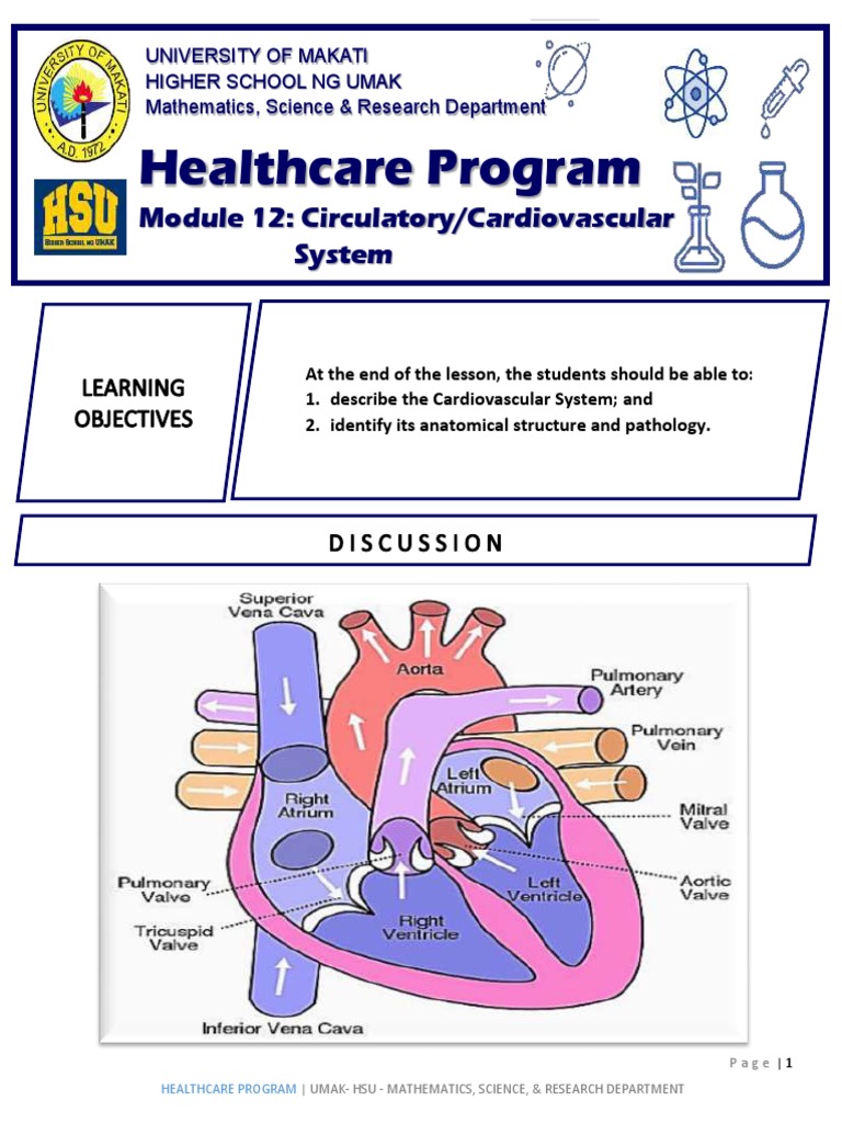 HCP MODULE 12 Circulatory Cardiovascular System | PDF | Heart