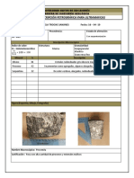 Ficha de Descripción Petrográfica para Ultramaficas