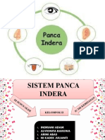 Sistem Panca Indera Kelompok 2