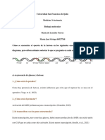 Consulta 4 Biología Molecular