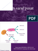 Pertemuan 3 - Sistem Saraf Pusat