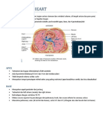 Case 1 - ANATOMY of Heart