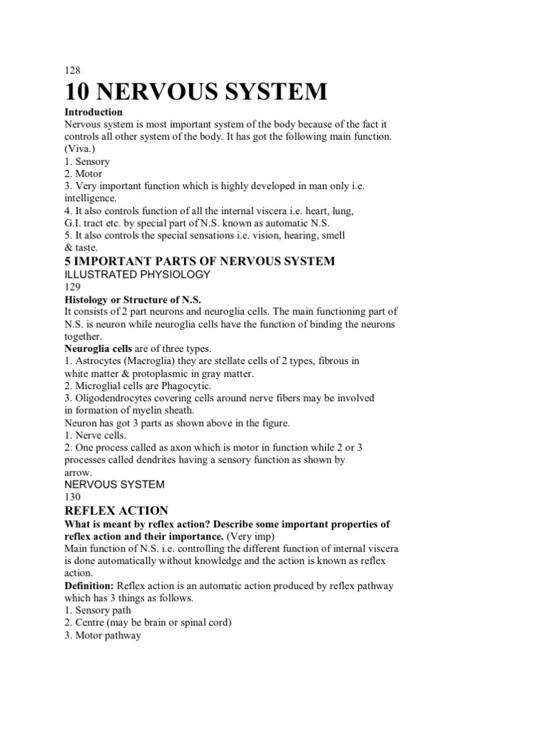 Nervous System | PDF | Cerebrospinal Fluid | Spinal Cord