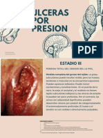 Ulceras POR Presion: Universidad Taangamanga