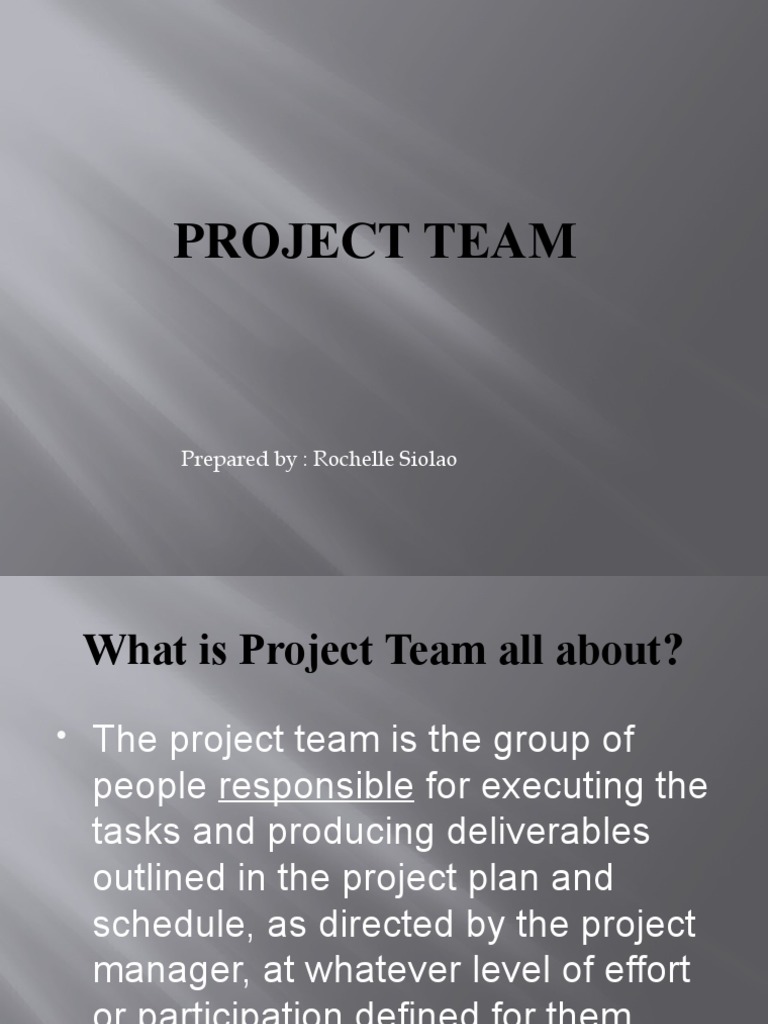 Understanding Project Team Roles and Responsibilities | PDF | Expert ...