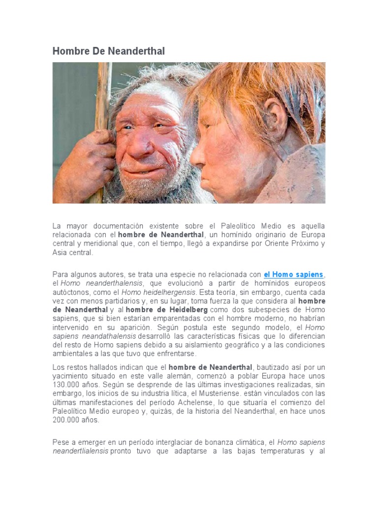 Hombre de Neanderthal: Evolución y Rasgos | PDF | Homo | neanderthal