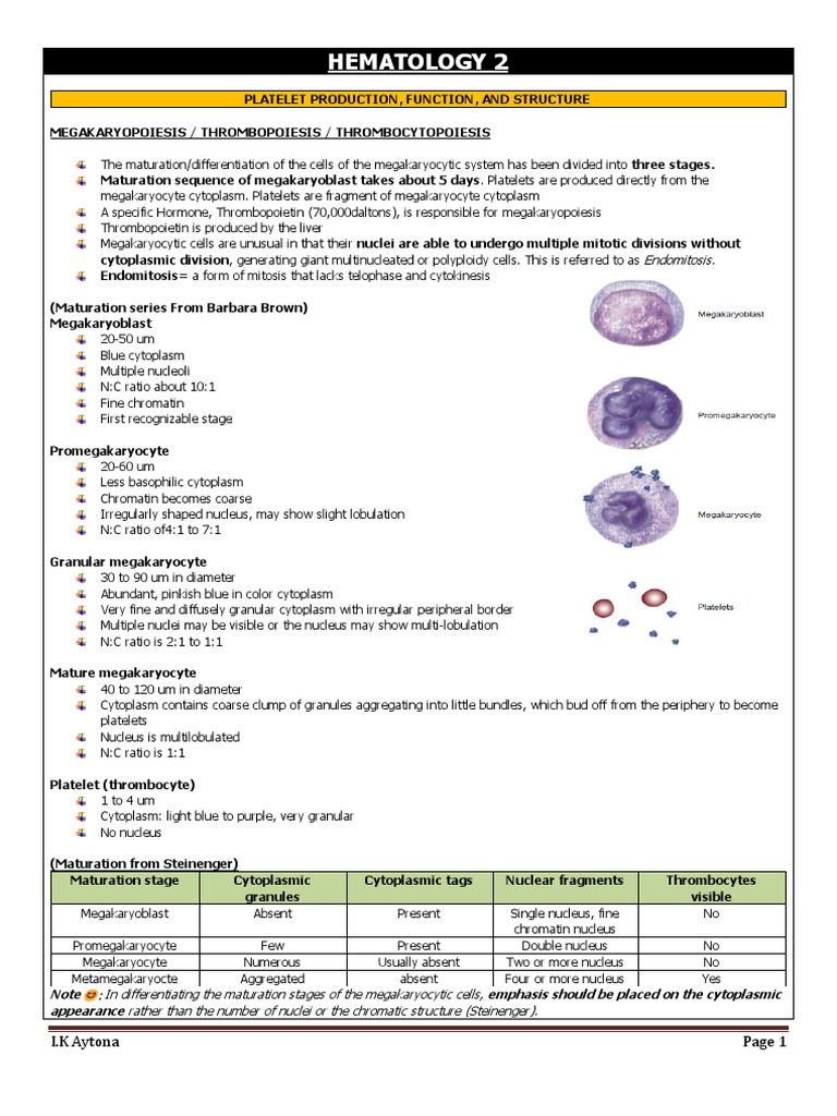 Platelet Production and Function Overview | PDF | Coagulation | Platelet