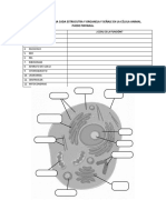 CÉLULA ANIMAL Y VEGETAL Práctica de Reconocimiento
