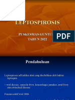 LEPTOSPIROSIS DI PUSKESMAS GUNTUR I