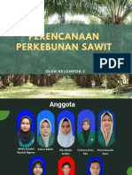 Perencanaan Perkebunan Sawit