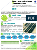 Microalgas en La Alimentación