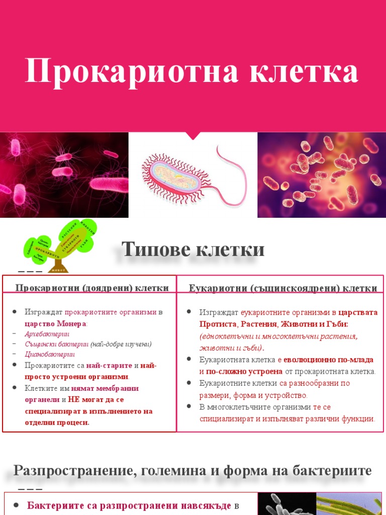 ПРОКАРИОТНА КЛЕТКА | PDF