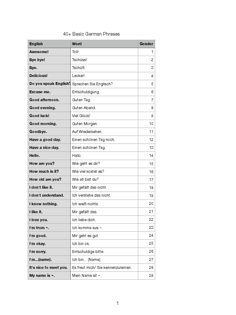 Basic German 40 Phrases | PDF