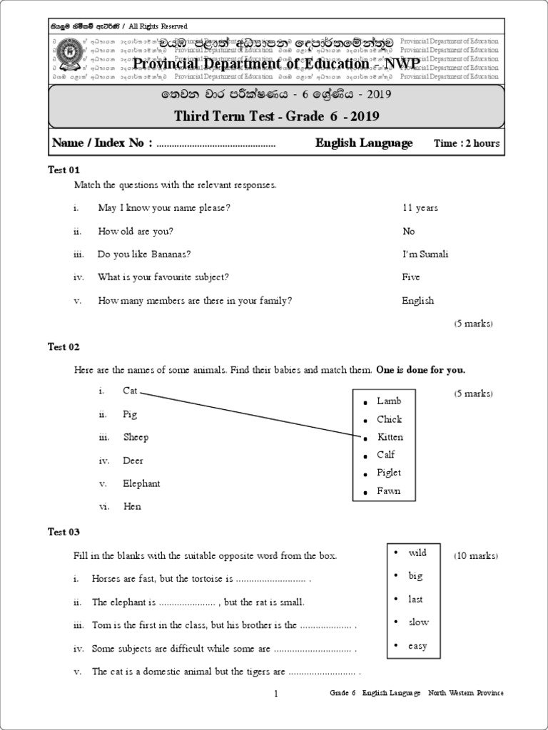 Grade 6 English 3rd Term Test Paper | PDF