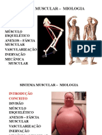 Sistema Muscular - Parte 1